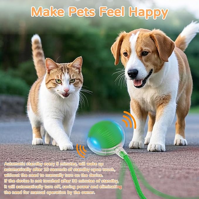 2025 New 1Pack Cat Ball Kitten Toys for Indoor Interactive Kitty Ball Toy Speedy Tail 360° Automatic Rolling(Green)