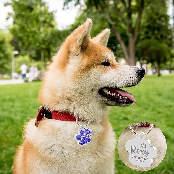 EDSG Cat Dog Tags Personalized for Pets, Dog Name Tags Cat Name ID Tag, Engraved Dog Tags Dog ID Tags Small Glitter Bling ID Tag Paw Print for Cat Pet Dog Puppy(Silver,Design 3)