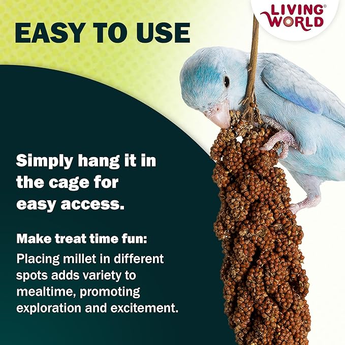 Living World - Millet Spray for Birds, 3.5 Oz – Premium Treat for Budgies, Canaries, Finches, Cockatiels and Other Pet Birds