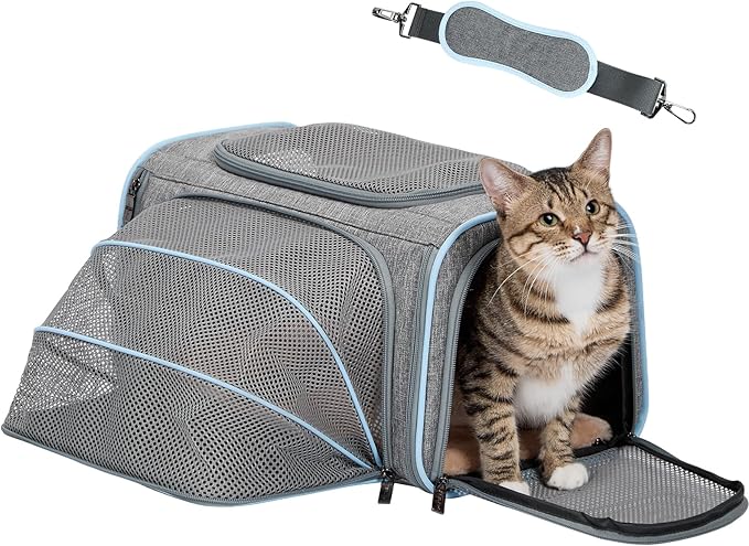 Petsfit Small Cat Carrier Soft Airline Approved Expandable Carrier for Kitten Puppy Bunny, 16"X10"X9“