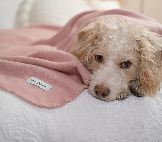 Fleece Throw Blanket Set Bulk for Travel Kids Outdoor Wedding Pet (Pink, Pack of 6 50x60 Inches)