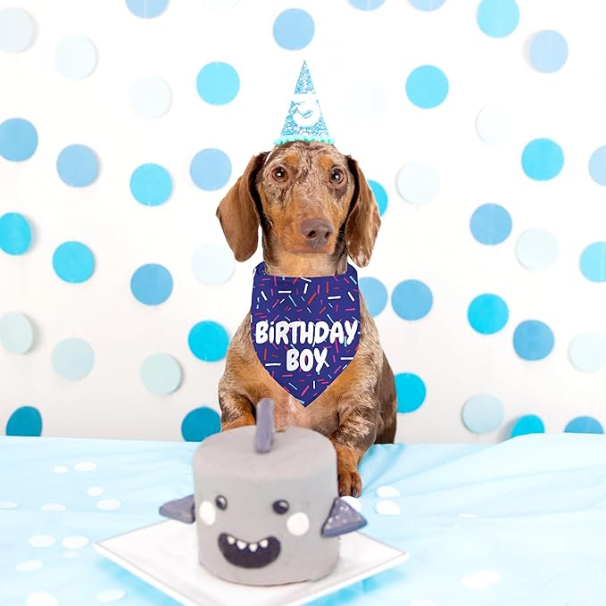 Birthday Boy Dog Bandanas 1 Pack, Blue Birthday Dog Scarfs for Boys, Pet Scarves for Boy HBD Bandanas for Small Medium Large Dogs (Birthday Boy, One Size)