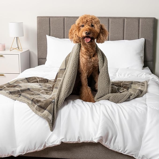 PetAmi Waterproof Dog Blanket for Medium Large Dog Puppy Cat Throw for Couch Cover Leakproof Protection, Sherpa Fleece, Reversible Soft Washable 60x40 Plaid Taupe
