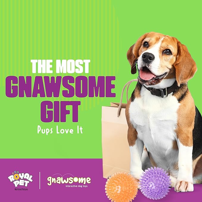 Gnawsome Medium Squeaker Ball Dog Toy, Medium 3.5", Colors will vary, All Breed Sizes