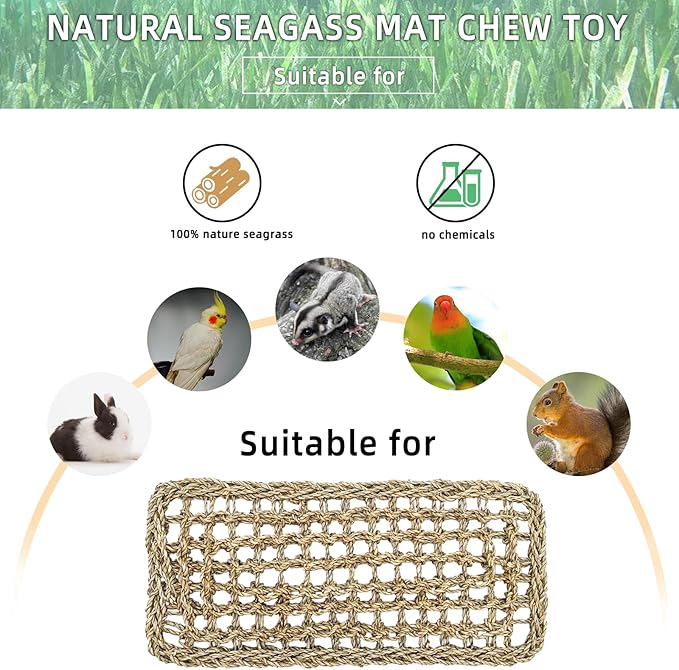 Bird Seagrass Mat 16 × 7" Parrot Natural Grass Woven Net Hammock Parakeet Climbing Rope Ladder Mat Chew Toys Cage Accessories for Pigeon Cockatiel Conure Budgie Cockatoo Rat Hamster
