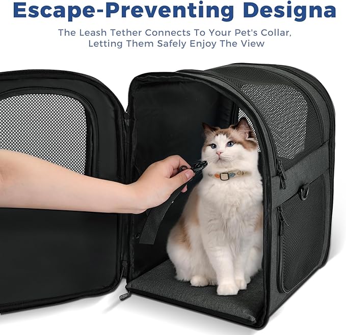 Apollo Walker Dog & Cat Carrier Backpack for 4-18lb Pets - Ventilated Safe Design with Padded Back Support, Breathable Mesh Pet Backpack for Hiking, Travel, Outdoor (Black)