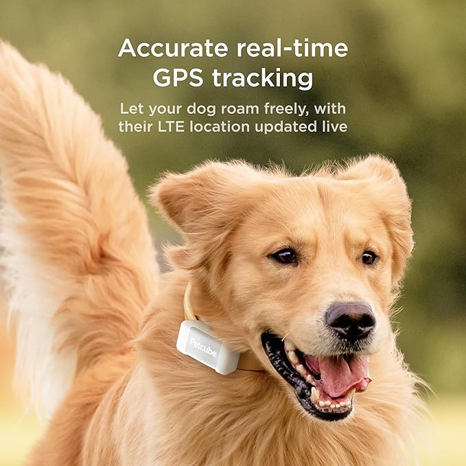 Petcube GPS Tracker for Dogs | Pet GPS Location Tracker with Escape Alerts and Virtual Fences, Activity and Wellness Monitoring, Glows in a Dark, Water and Dust Proof