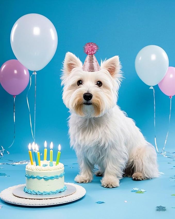 PET SHOW 20 Pack Mini Small Dog Hats with Sequin Puppy Birthday Party Hats for Stuffed Animals Cats Adjustable Holiday Hat Headband Kitten Pet Grooming Costume Accessories