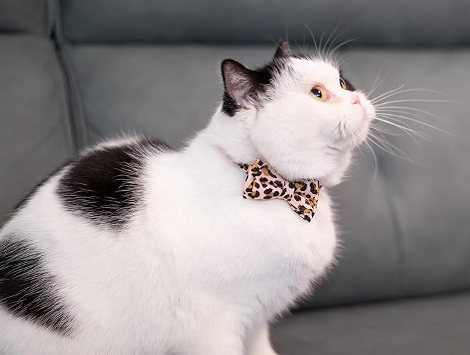 Collar for Cat Pet Breakaway with Bell Bowtie Detachable Bow Adjustable Safety Kitten Puppy Girl Boy 2pcs Pink Leopard & Pure