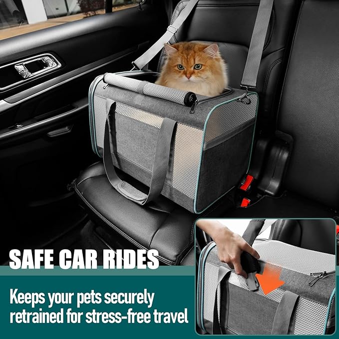 Pet Carrier for Large Cats 20 lbs+ / Soft Sided Small Dog Travel Carriers Top Load/Collapsible Carrier Bag for Big Cat / 2 Kittens Sturdy Transport Carriers Long Trips/Medium Cats 15 pounds