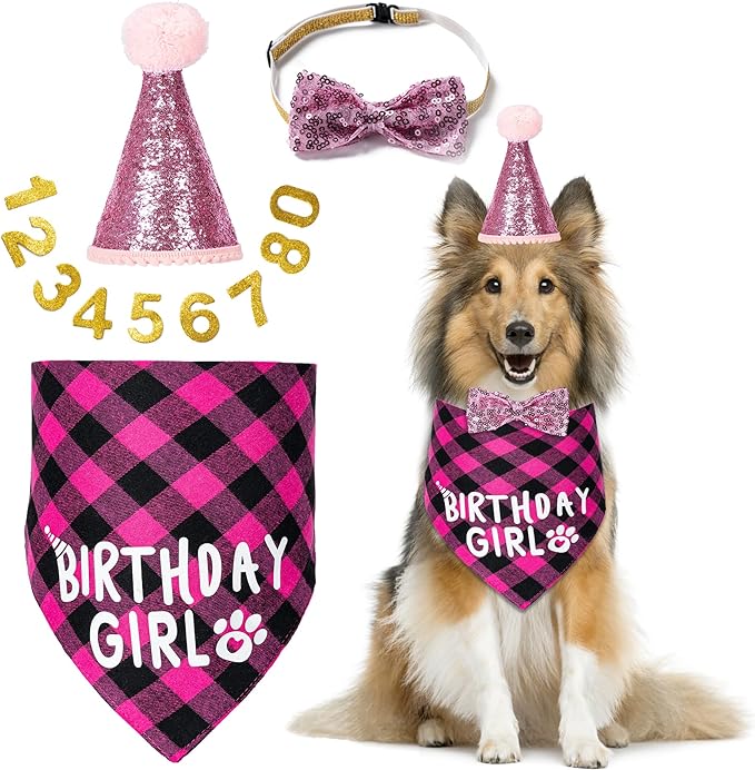 Dog Birthday Party Supplies, Dog Birthday Decorations with Birthday Girl Dog Bandanas/Dog Cat Birthday Hat/Dog Bow Tie/Collar with 0-8 Numbers, for Medium Small Dogs Pets (X-Large, Pink)