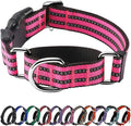 Hikiko Martingale Dog Collars Reflective Nylon Dog Collar with Quick Release Buckle Adjustable Training No Slip Dog Collar (Small, Hot Pink)