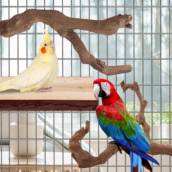 Parrot Perch Bird Perch Stand Set Natural Wild Wood Grape Sticks Paw Grinding Fork Parakeet Climbing Standing Branches Toys Cage Accessories for Conure,Cockatiels Lovebirds,Budgies Chewable 6PC