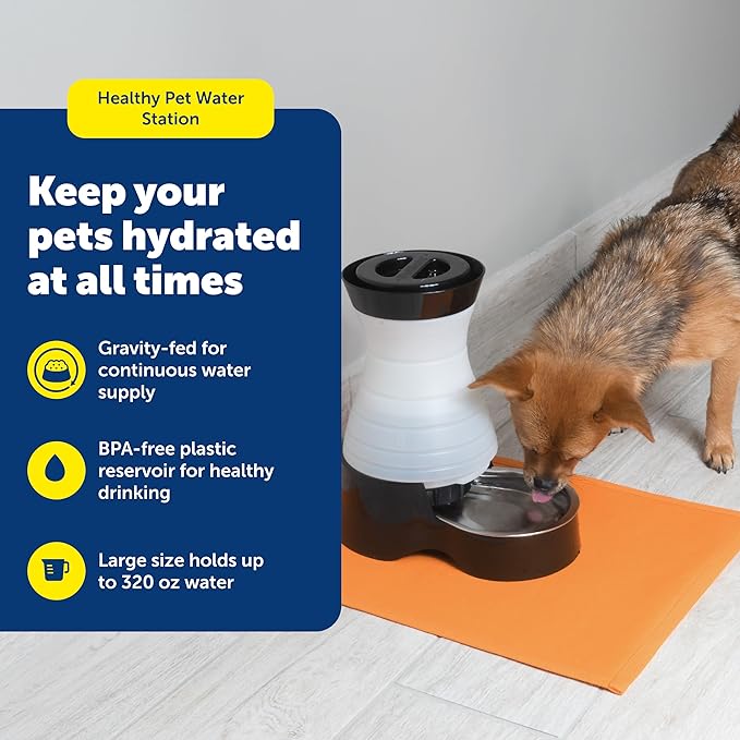 PetSafe Healthy Pet Water Station - Large, 320 oz Capacity - Gravity Pet Water Fountain, Automatic Cat Water Fountain or Dog Water Fountain - Water Dispenser - Removable Stainless Steel Bowl Included