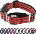 Hikiko Martingale Dog Collars Reflective Nylon Dog Collar with Quick Release Buckle Adjustable Training No Slip Dog Collar (Small, Tangerine)