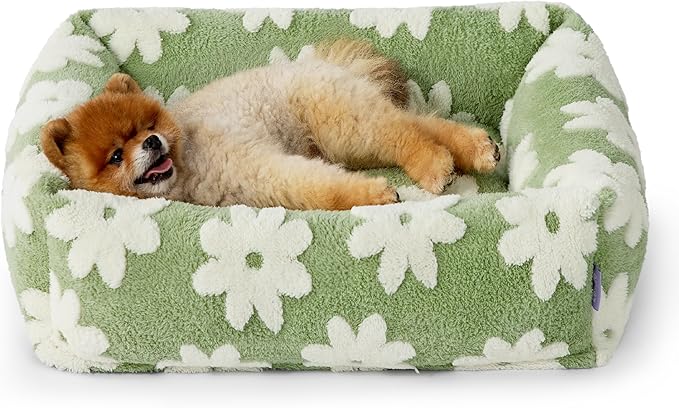 LE SURE Cute Dog Bed for Small Dogs - Washable Puppy Beds,Cozy Rectangle Orthopedic Pet Sofa with Jacquard Shaggy Plush & Anti Slip Bottom,25x21x7inches