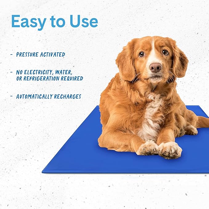 The Green Pet Shop Chillz Gel Mat, Medium - Pressure-Activated Cooling Pad for Pets 0-25 lbs - Non-Toxic, No Water or Refrigeration Needed - Ideal for Home, Travel & Crates
