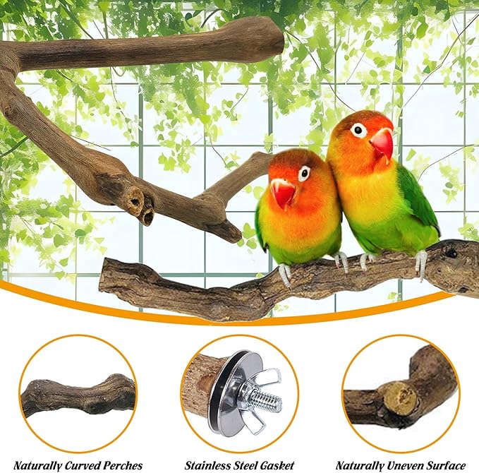 kathson 5pcs Natural Parrot Perch for Cage Wooden Bird Perches Grape Bird Stick Parakeet Climbing Standing Branches Toy Chewable Cage Accessories for Small Budgies Cockatiels Lovebirds Budgies