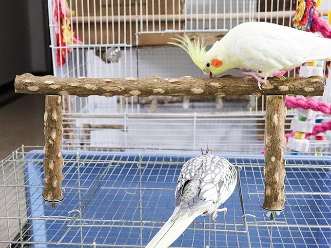 Large Natural Pepper Wood Parrot Stand Branch, Wooden Perch for Parakeet Cockatiels Conures Lovebirds Budgies, Birdcage Accessories 15.66.7 Inches