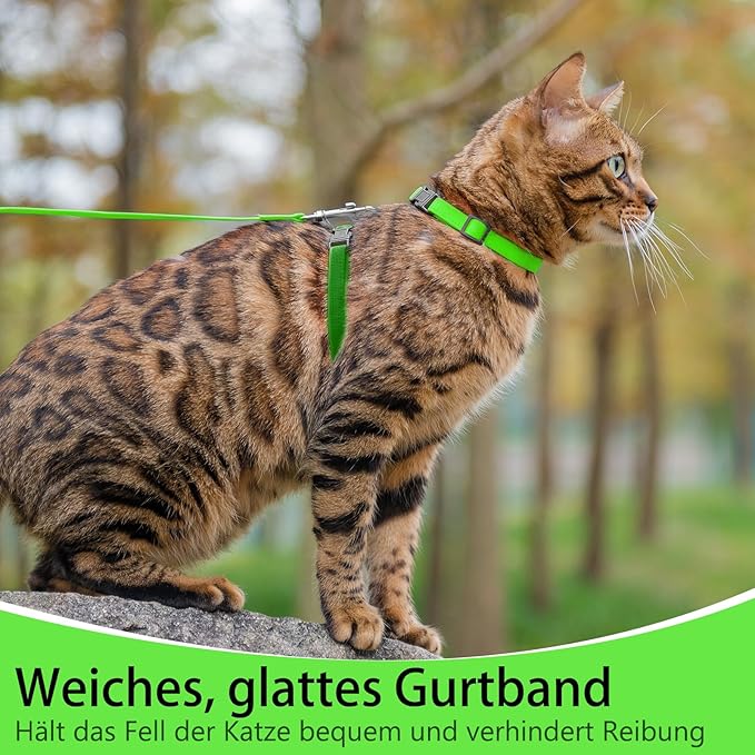 PUPTECK Adjustable Cat Harness and Leash Set Escape Proof Kitten Strap Collar for Walking Travel, Green