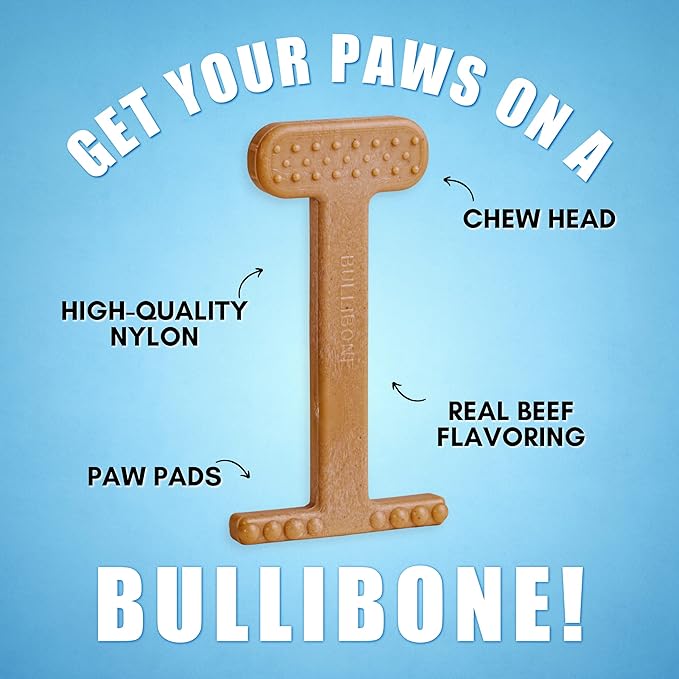 Bullibone Nylon Dog Chew Toy for Aggressive Chewers - Dental Hygiene Bone with Beef Flavor, Durable Tough Chew Toys for Small Dogs, Indestructible Dog Bone - Single