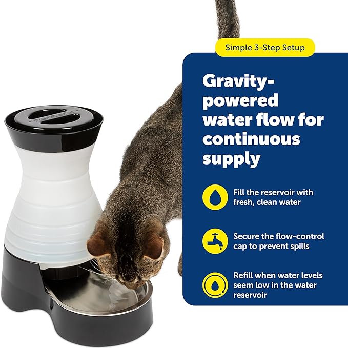 PetSafe Healthy Pet Water Station - Large, 320 oz Capacity - Gravity Pet Water Fountain, Automatic Cat Water Fountain or Dog Water Fountain - Water Dispenser - Removable Stainless Steel Bowl Included