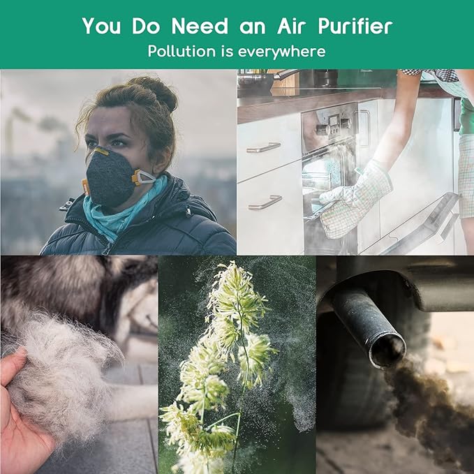 Afloia Air Purifier for Pets, Air Purifiers for Home Large Room Up to 880 Ft², Efficient Filter Air Cleaner for Home Remove 99.99% Pets Hair Odor Dust Smoke Mold Pollen, Fillo Black