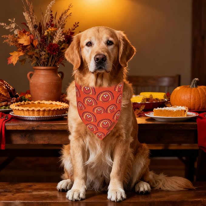 ADOGGYGO Thanksgiving Dog Bandanas 2 Pack, Reversible Pumpkin Turkey Pet Scarf, Premium Fabric, Adjustable Fit Orange Thanksgiving Bandanas for Extra Large Dogs (X-Large)