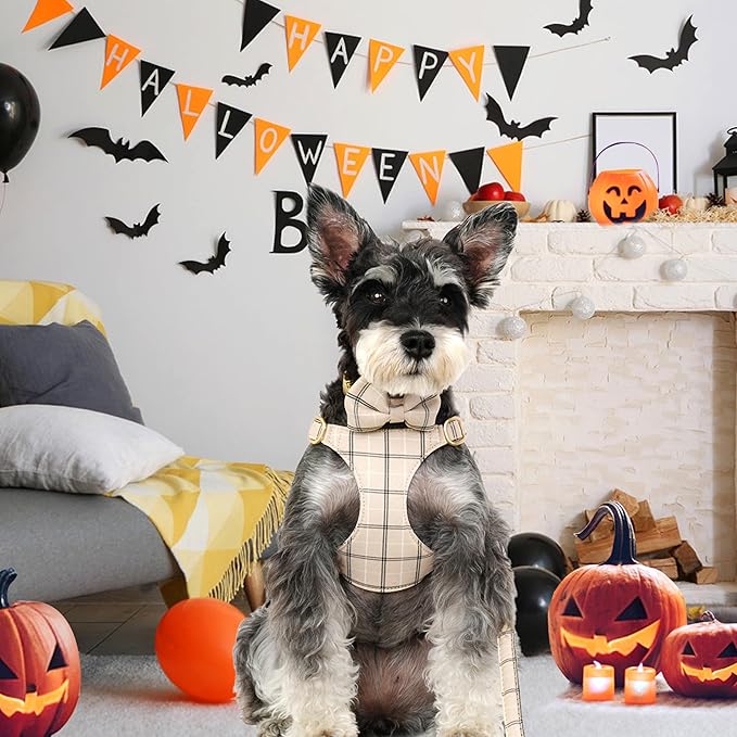 Beirui Cute Small Dog Harness Collar and Leash Set with Bowtie, Soft Adjustable Plaid Puppy Harness for Small Sized Dogs Cats Walks Parties and Photoshoots(Beige,S:Chest 17-23")