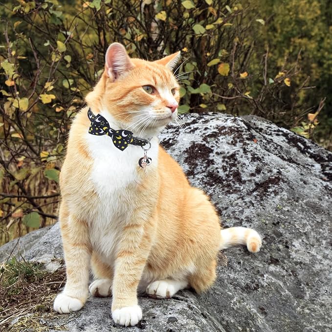 SCENEREAL Breakaway Cat Collar with Bell, 3 Pack Safety Adjustable Cat Collars with Pendant, Spring Summer Personalised Puppy Kitten Collar with Bowtie for Boys Girls, Star and Moon Elements