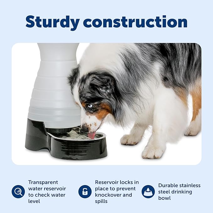 PetSafe Healthy Pet Water Station - Large, 320 oz Capacity - Gravity Pet Water Fountain, Automatic Cat Water Fountain or Dog Water Fountain - Water Dispenser - Removable Stainless Steel Bowl Included
