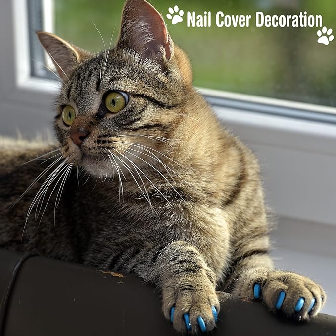 9 Pcs Cat Bathing Bag Set Cat Shower Bag Anti Bite and Scratch for Pet Grooming Washing Brush Comb Muzzle Nail Clipper Nail File Tick Tool(Blue, Turquoise)