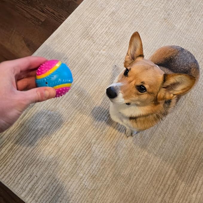 SPOT Sensory Ball for Soft Chewers - Stimulates All 5 Senses, Bell & Squeaker Sounds, Raised Nubs Clean Teeth, High Contrast Fetch Toy, Beef Scented, Durable TPR Rubber Ball, 2.5-inch