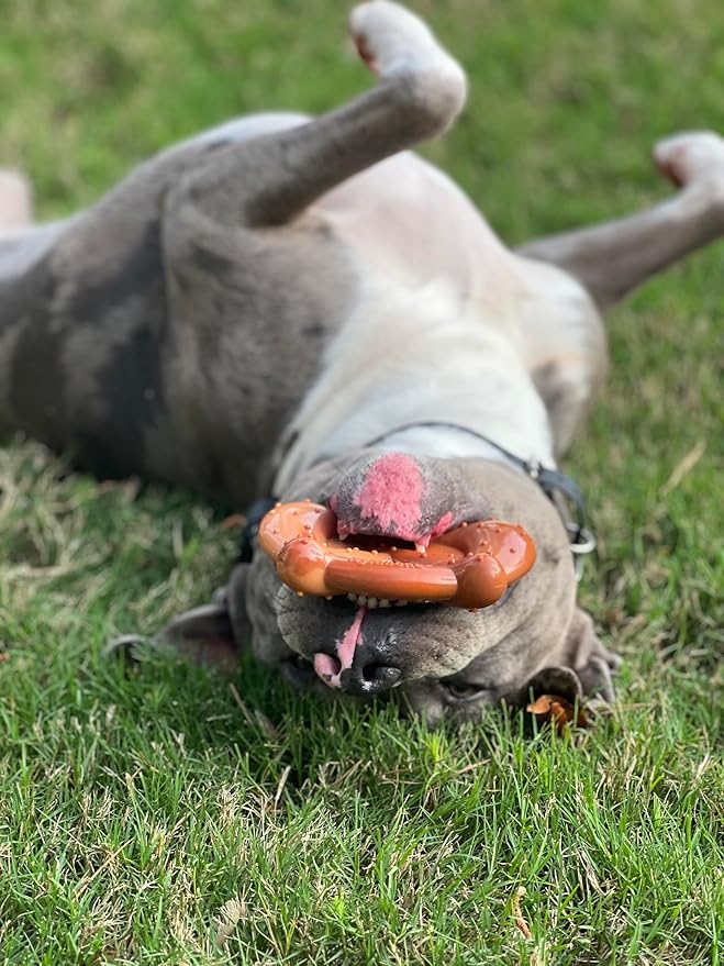 Nylabone Pretzel Power Chew Toy for Dogs, Dog Toys for Aggressive Chewers, Bacon & Peanut Butter Flavor, X-Large Dogs - 50+ lbs, 1 Count
