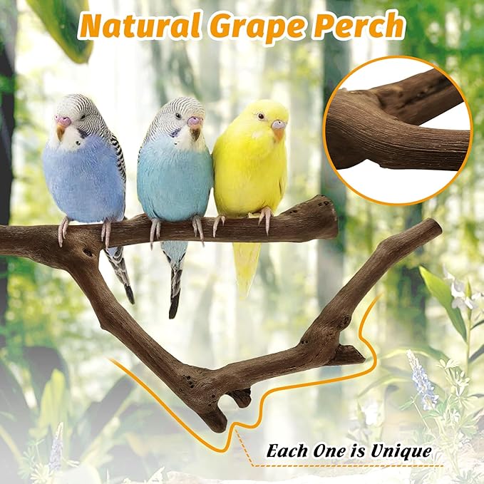 kathson 3pcs Natural Parrot Perch for Cage Wooden Bird Perches Grape Bird Stick Parakeet Climbing Standing Branches Toy Chewable Cage Accessories for Small Budgies Cockatiels Lovebirds Budgies