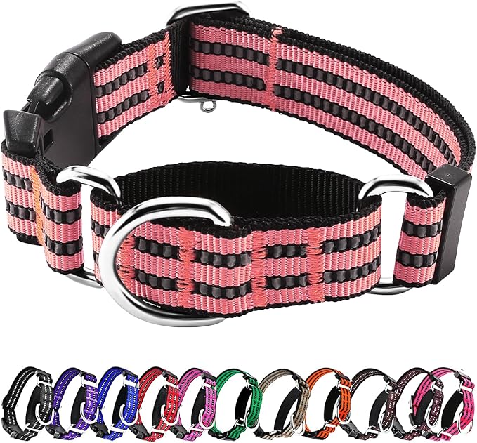 Hikiko Martingale Dog Collars Reflective Nylon Dog Collar with Quick Release Buckle Adjustable Training No Slip Dog Collar (Large, Cherry Pink)