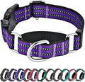 Hikiko Martingale Collar for Dogs Reflective Nylon Dog Collar with Quick Release Buckle Adjustable Training No Slip Dog Collars (Medium, Purple)