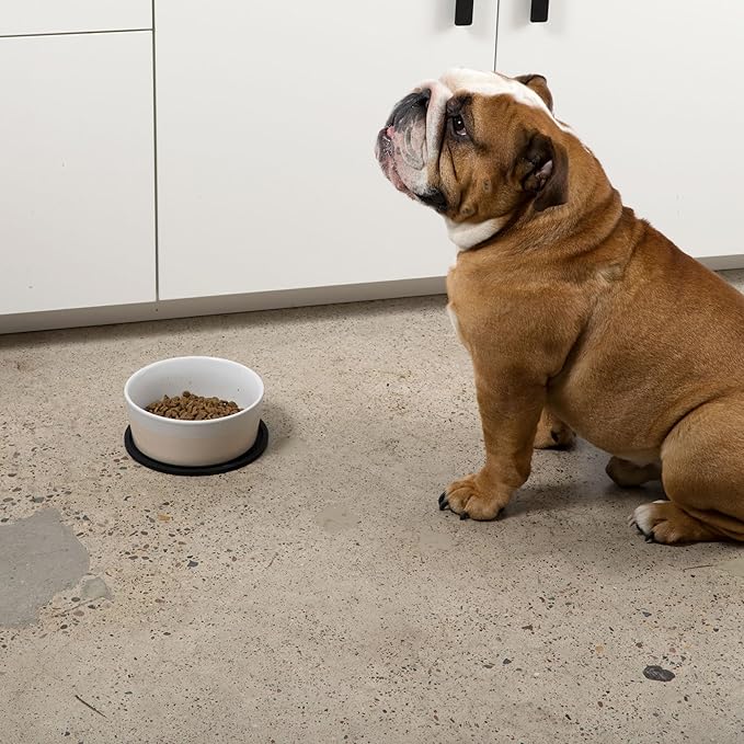 Waggo Habit Silicone Dog Placemat for Small Medium and Large Breeds - Modern Heavyweight Silicone Dog Mat, Dishwasher Safe, Solid Placemat - Set of 2 (Small, Light Grey)