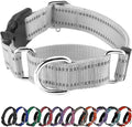 Hikiko Reflective Martingale Collar for Small Dogs with Buckle Adjustable Training Walking No Slip Collars, Sliver Gray, S