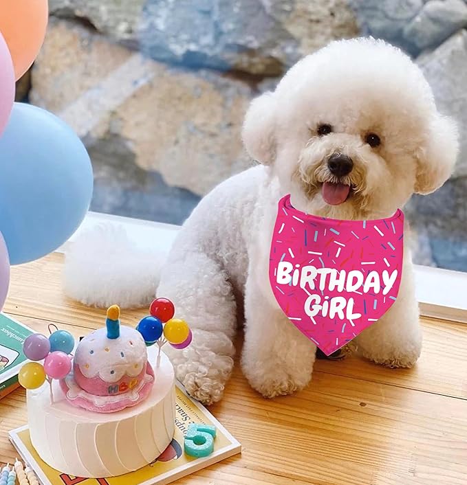 Birthday Girl Dog Bandanas 1 Pack, Pink Dog Scarfs for Puppy, Pet Scarves HBD Bandanas for Small Medium Large Dogs (Birthday Girl, One Size)