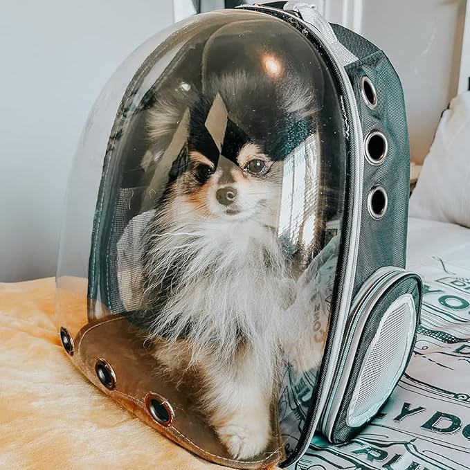 Cat Backpack Carrier, Back Expandable Pet Backpack with Bubble Window, Airline Approved Pet Travel Bag for Small/Medium Cats & Puppies, Hiking, Camping, Outdoor Use (Green)