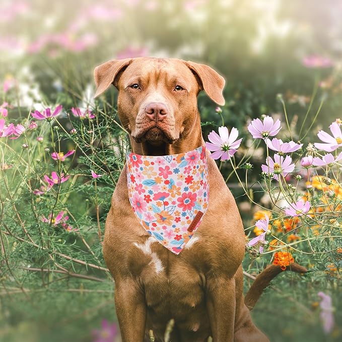 ADOGGYGO Floral Dog Bandana 2 Pack, Reversible Pink Daisy Pet Scarf Bib, Adjustable Fit Cute Flower Bandanas for Extra Large Dogs Pets (X-Large)