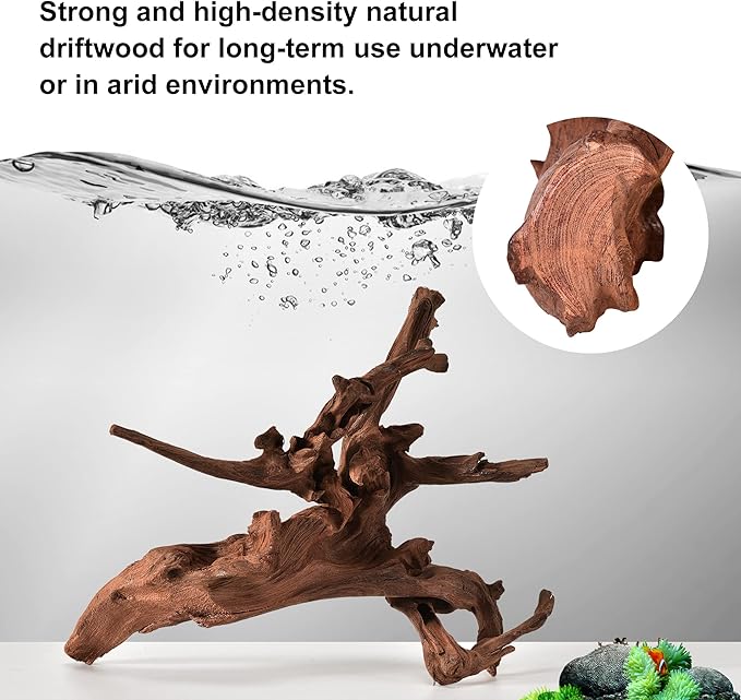 majoywoo Natural Small Driftwood for Aquarium Decor Reptile Decor, Assorted Driftwood Branch 2-4.5" 10 Pcs, Fish Tank Decorations
