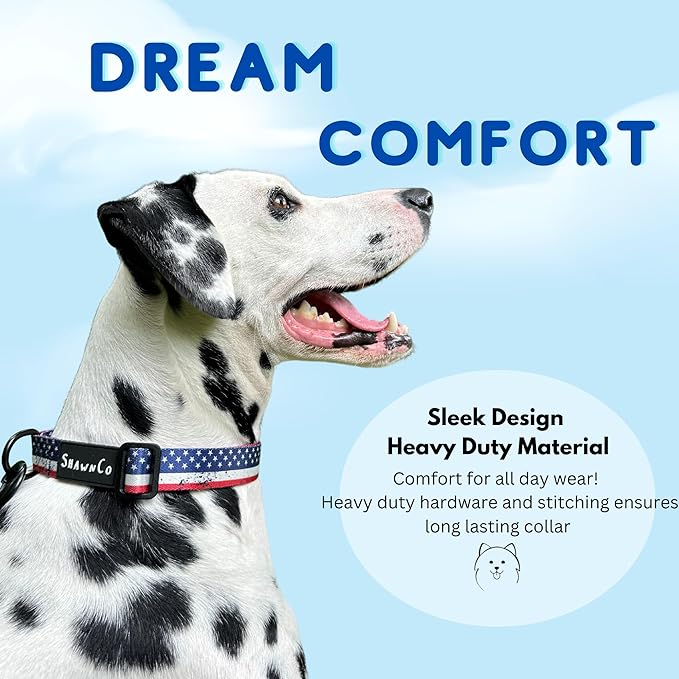 ShawnCo Dream Walk Dog Collar- Premium, Adjustable and Comfortable Pet Collar for Small, Medium, Large and Extra Large Dogs (Electric Blue,S)