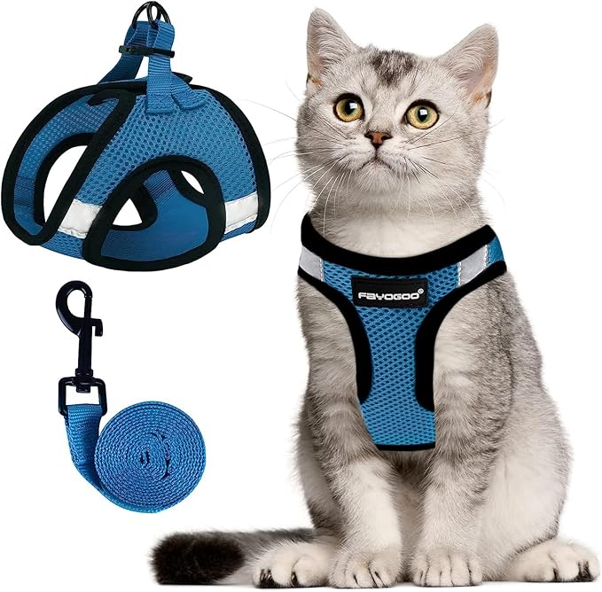 FAYOGOO Cat Harness, Cat Leash and Harness Set for Walking Escape Proof, Harness for Small Cats/Small Dogs, Large Kitten/Puppy Harness and Leash, Harness for Cats S-XXL(Tranquil Teal, Medium)