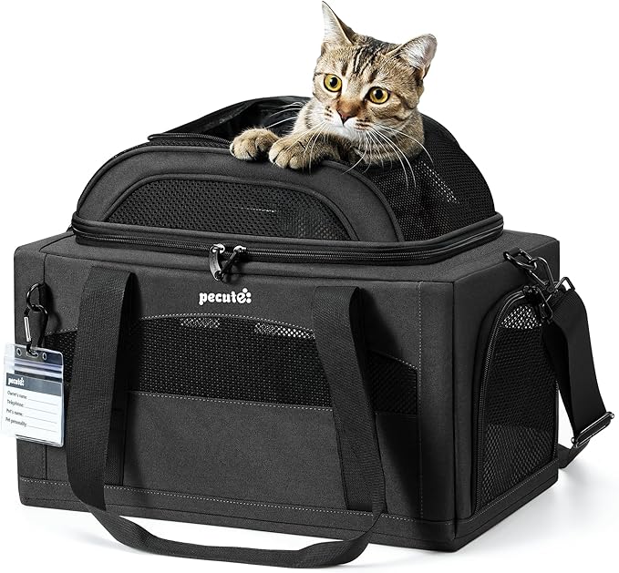Pecute Expandable Pet Carrier Airline Approved Dog Cat Carrier, Breathable Soft-Sided with Locking Zippers, Pet Travel Bag for Small Dog Cat Anti-Scratch Mesh Leakproof Pee Pad (Dark Gray)