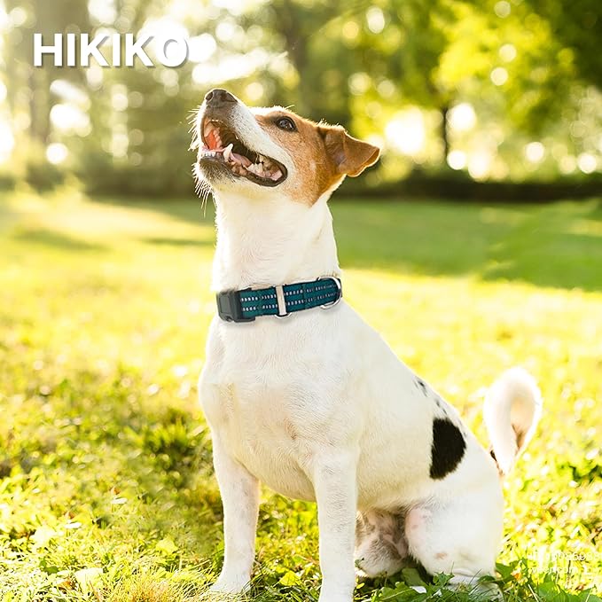 Hikiko Martingale Dog Collars Reflective Nylon Dog Collar with Quick Release Buckle Adjustable Training No Slip Dog Collar (Small, Dark Green)