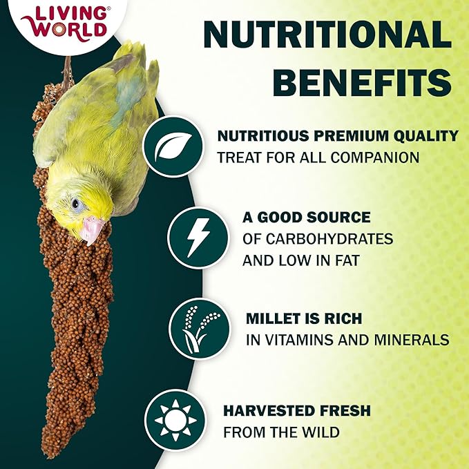 Living World - Millet Spray for Birds, 3.5 Oz – Premium Treat for Budgies, Canaries, Finches, Cockatiels and Other Pet Birds