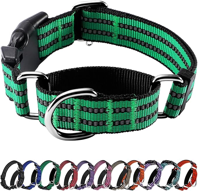Hikiko Martingale Dog Collars Reflective Nylon Dog Collar with Quick Release Buckle Adjustable Training No Slip Dog Collar (Small, Green)
