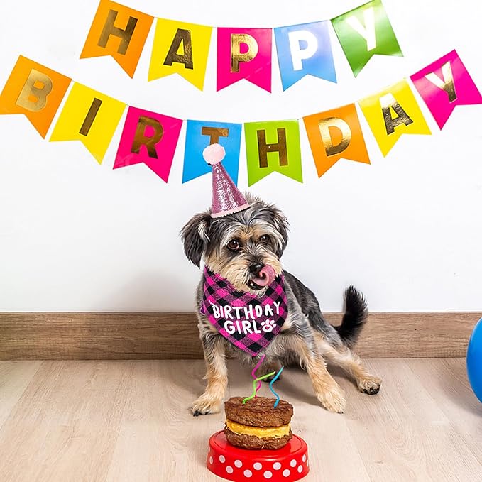 Dog Birthday Party Supplies, Dog Birthday Decorations with Birthday Girl Dog Bandanas/Dog Cat Birthday Hat/Dog Bow Tie/Collar with 0-8 Numbers, for Medium Small Dogs Pets (X-Large, Pink)